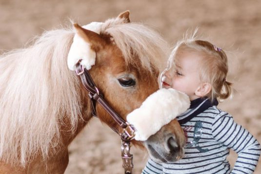 Pferde-und-Kinder